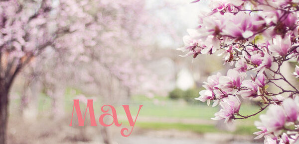may giveaway